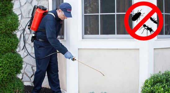 Çandır Akrep İlaçlama böcek ilaçlama ve haşere kontrolü — ilaclama-tr.com